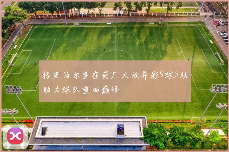 格里马尔多在药厂大放异彩9球5助助力球队重回巅峰
