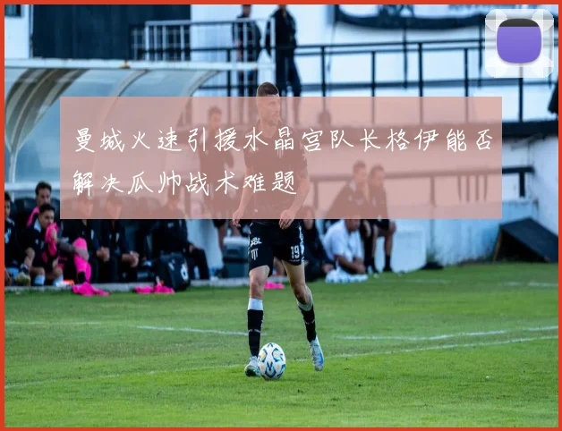 曼城火速引援水晶宫队长格伊能否解决瓜帅战术难题