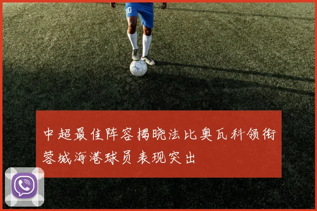 中超最佳阵容揭晓法比奥瓦科领衔蓉城海港球员表现突出